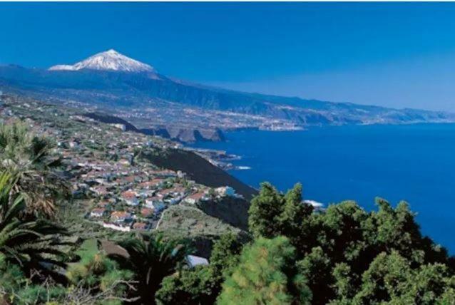 Vacation 1 Bed Cristianos Appartamento *